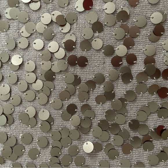 Eileen Fisher Sequined Bling Shell Tank Top Gray 100% Merino Wool Petite Medium - Picture 6 of 8